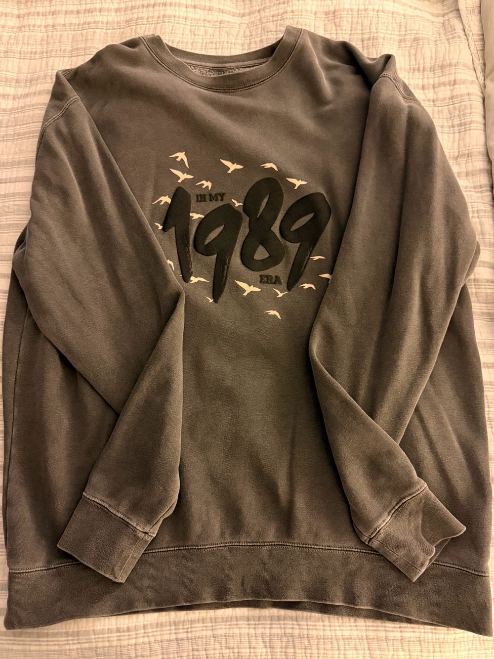 Adelaide's Fort in my 1989 era sweatshirt sz L